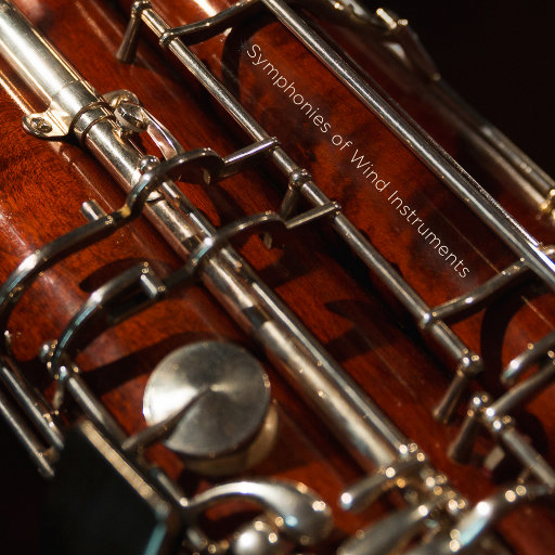 欧美性婦BBB大屁
